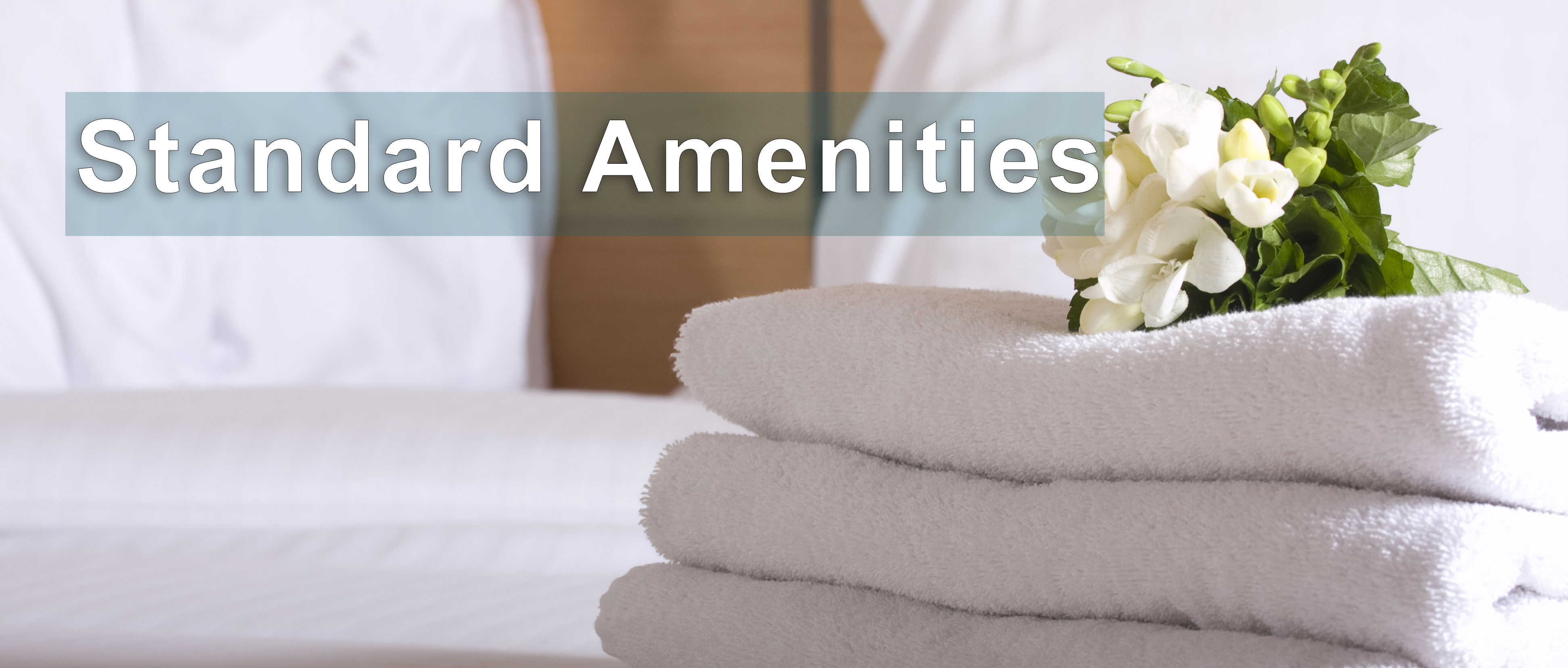 standard amenities